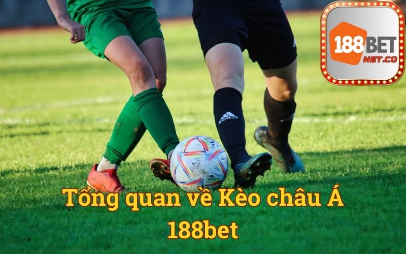 Tổng quan về Kèo châu Á 188bet